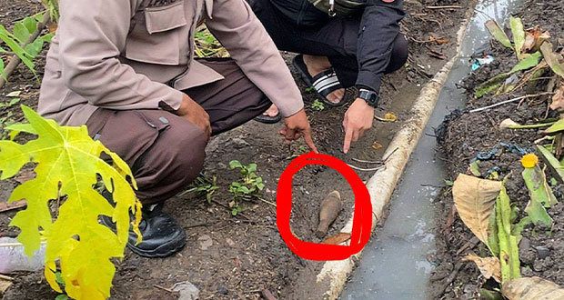 Penemuan-Mortir-Diduga-Peninggalan-PERMESTA-Gegerkan-Warga-Toruakat,-TNI-Bergerak-Cepat-Amankan-Lokasi